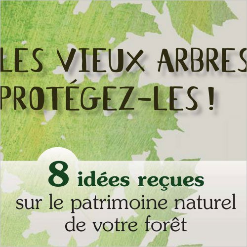 CENTRE RÉGIONAL DE LA PROPRIÉTÉ FORESTIÈRE PACA
